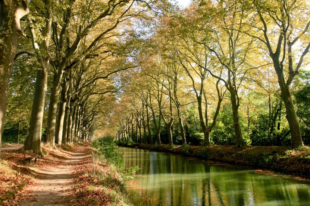 paseando por el canal du midi