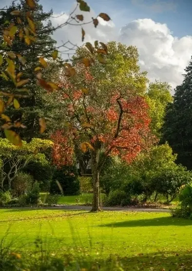 vista de arboleda del Jardin des Plantes Nantes, 