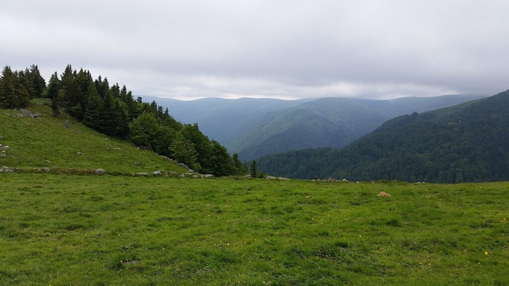  vista a desde lows altos prados a la valle de Champagne 