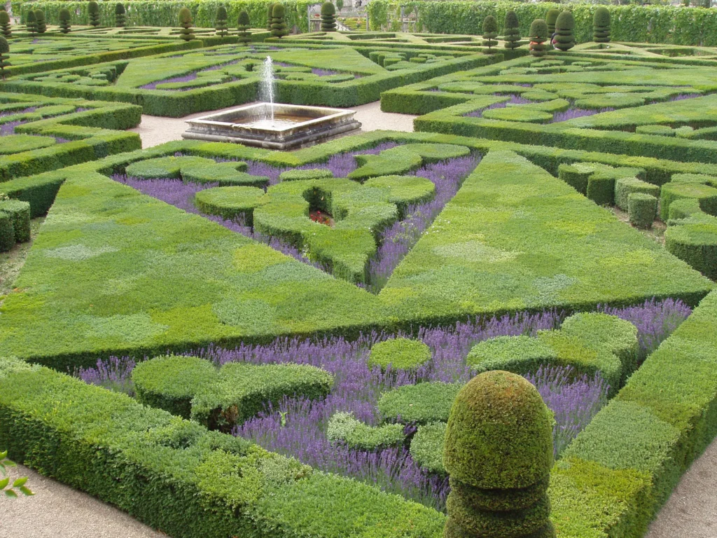 Jardin d'eau