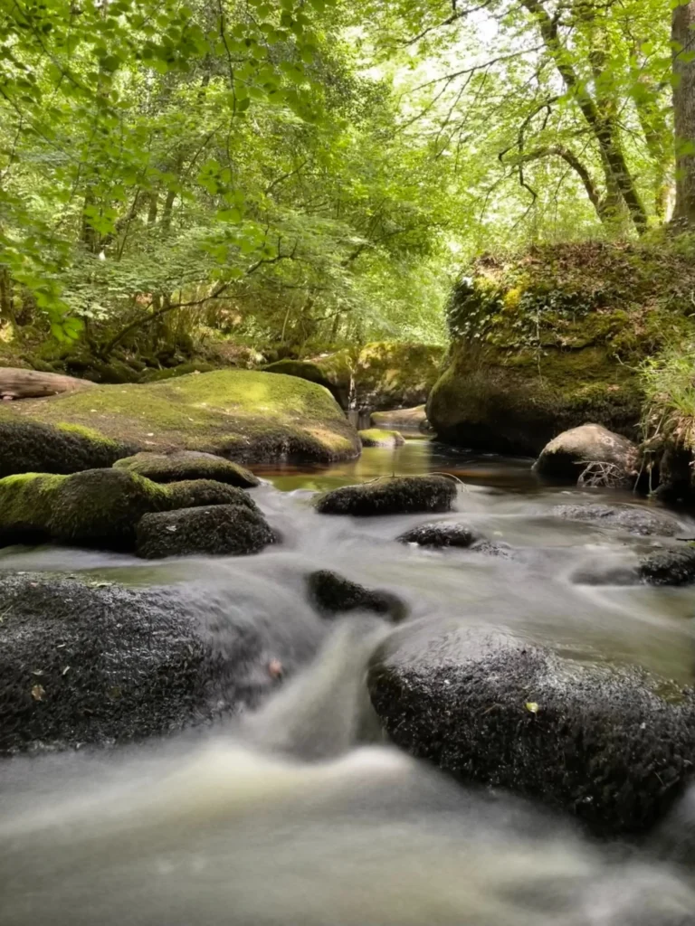 Forêt d'Huelgoat